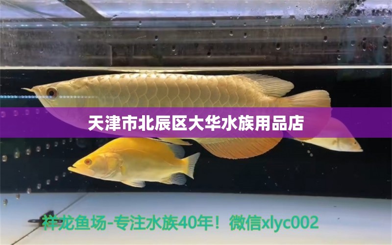 天津市北辰區(qū)大華水族用品店 水族用品