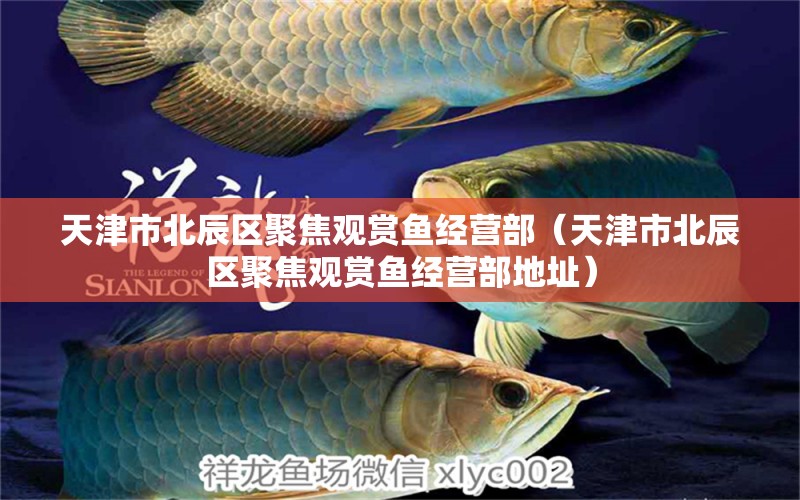 天津市北辰區(qū)聚焦觀賞魚(yú)經(jīng)營(yíng)部（天津市北辰區(qū)聚焦觀賞魚(yú)經(jīng)營(yíng)部地址） 全國(guó)水族館企業(yè)名錄