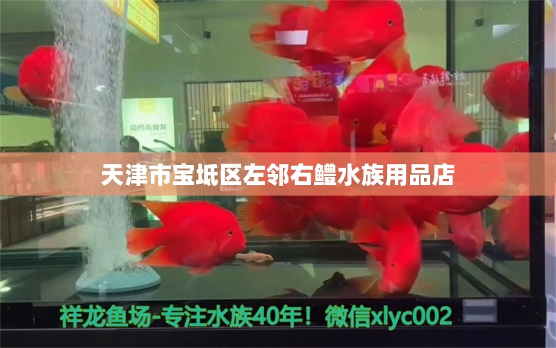 天津市寶坻區(qū)左鄰右鱧水族用品店