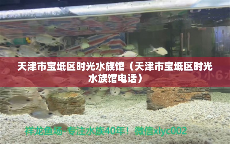 天津市寶坻區(qū)時(shí)光水族館（天津市寶坻區(qū)時(shí)光水族館電話） 全國(guó)水族館企業(yè)名錄