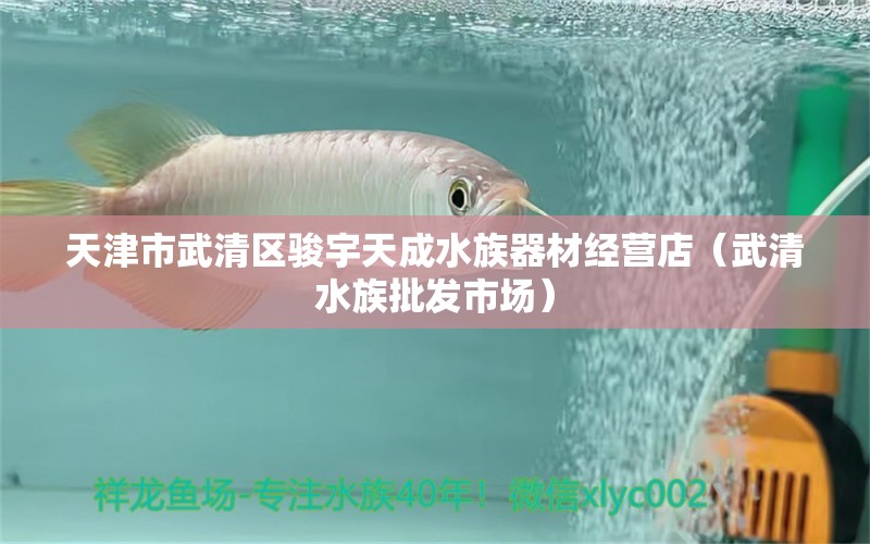 天津市武清區(qū)駿宇天成水族器材經(jīng)營店（武清水族批發(fā)市場） 觀賞魚水族批發(fā)市場