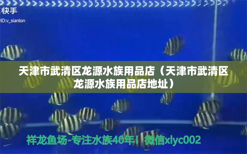 天津市武清區(qū)龍源水族用品店（天津市武清區(qū)龍源水族用品店地址） 水族用品