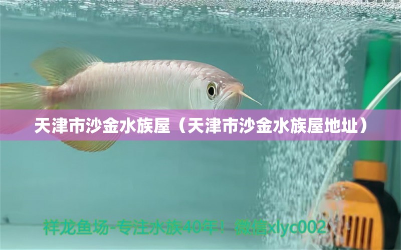 天津市沙金水族屋（天津市沙金水族屋地址） 全國水族館企業(yè)名錄 第1張