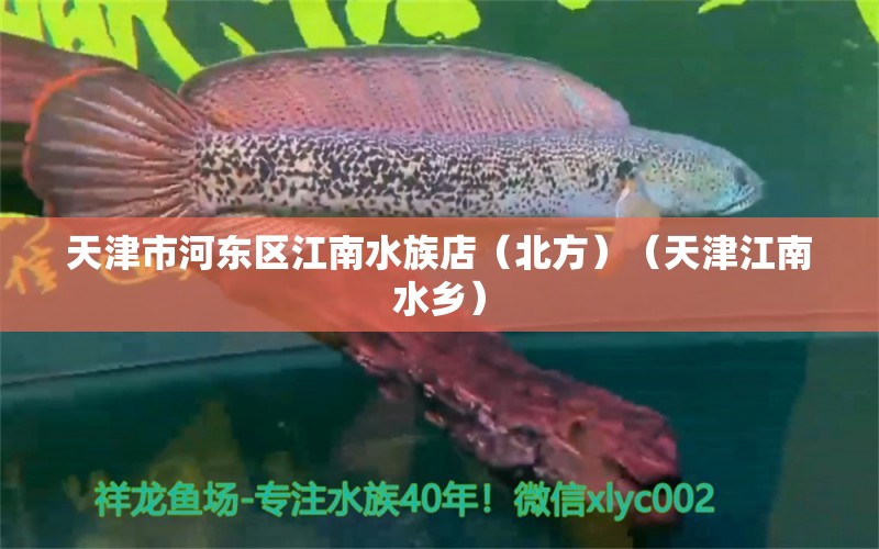 天津市河?xùn)|區(qū)江南水族店（北方）（天津江南水鄉(xiāng)） 全國(guó)水族館企業(yè)名錄