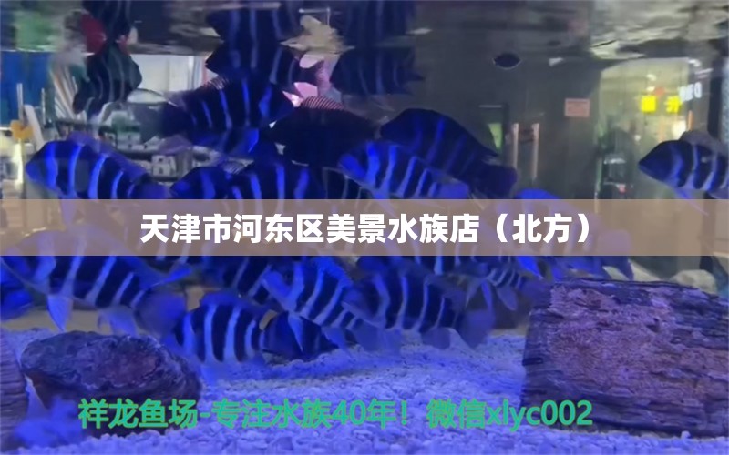 天津市河?xùn)|區(qū)美景水族店（北方） 全國(guó)水族館企業(yè)名錄