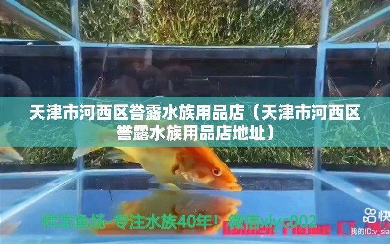 天津市河西區(qū)譽露水族用品店（天津市河西區(qū)譽露水族用品店地址） 水族用品