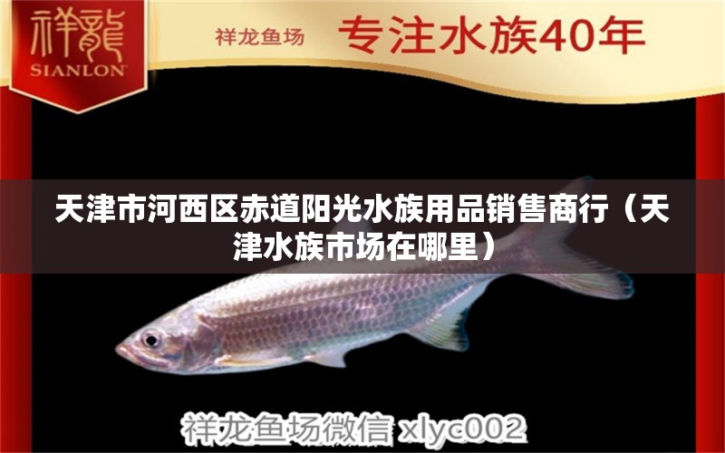 天津市河西區(qū)赤道陽(yáng)光水族用品銷售商行（天津水族市場(chǎng)在哪里）