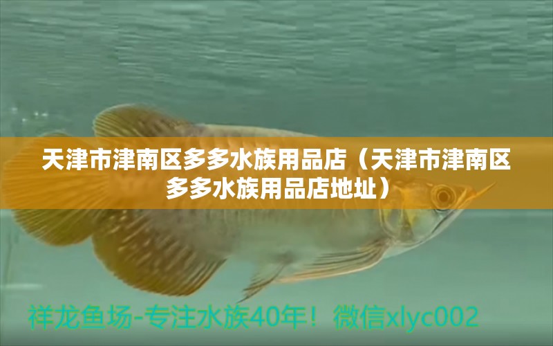 天津市津南區(qū)多多水族用品店（天津市津南區(qū)多多水族用品店地址） 水族用品 第2張