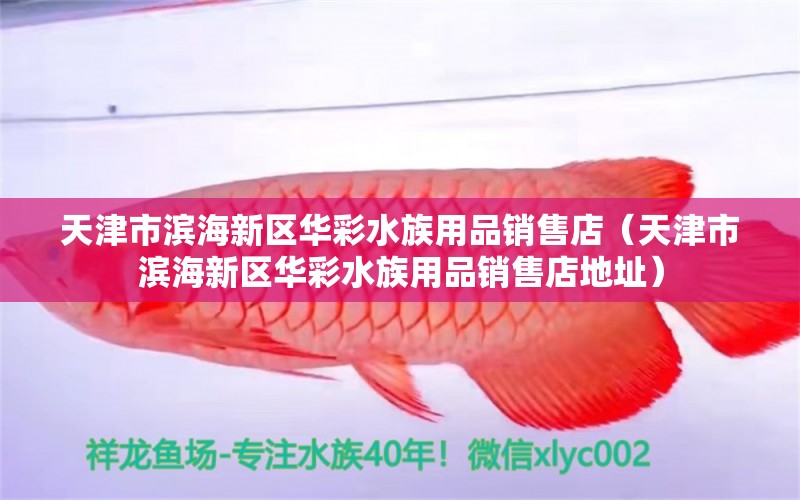 天津市濱海新區(qū)華彩水族用品銷售店（天津市濱海新區(qū)華彩水族用品銷售店地址） 水族用品