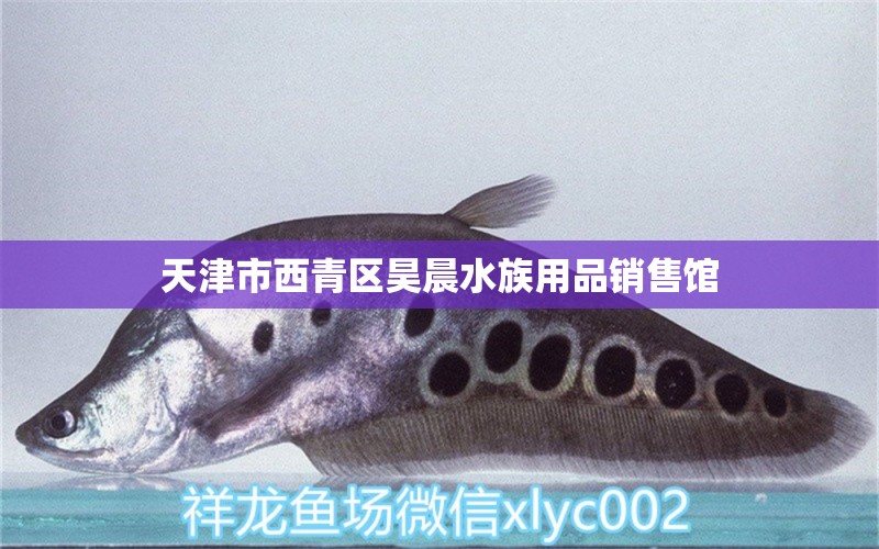 天津市西青區(qū)昊晨水族用品銷(xiāo)售館 水族用品