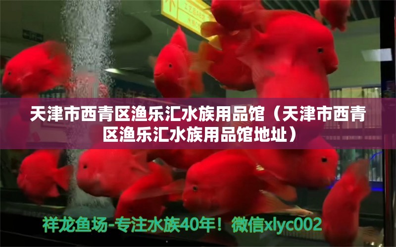 天津市西青區(qū)漁樂匯水族用品館（天津市西青區(qū)漁樂匯水族用品館地址） 水族用品