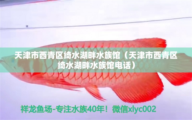 天津市西青區(qū)綺水湖畔水族館（天津市西青區(qū)綺水湖畔水族館電話(huà)）