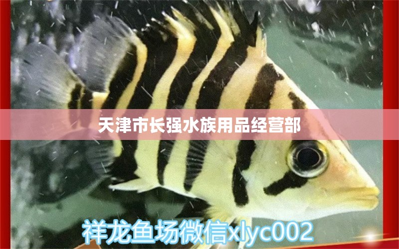 天津市長強水族用品經(jīng)營部 水族用品