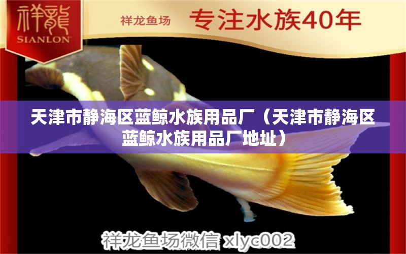 天津市靜海區(qū)藍(lán)鯨水族用品廠（天津市靜海區(qū)藍(lán)鯨水族用品廠地址） 水族用品