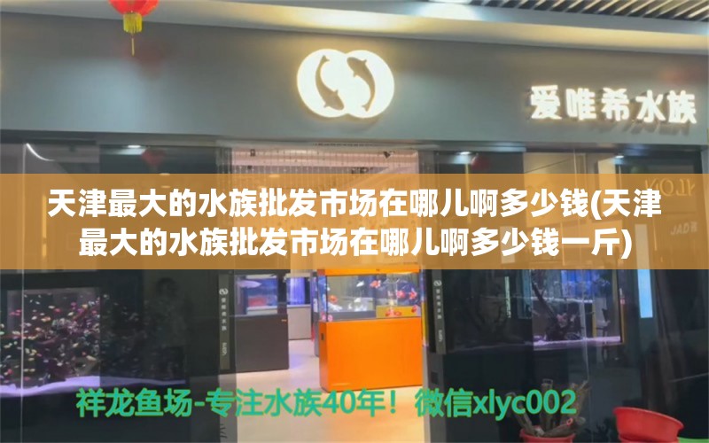 天津最大的水族批發(fā)市場(chǎng)在哪兒啊多少錢(天津最大的水族批發(fā)市場(chǎng)在哪兒啊多少錢一斤) 觀賞魚(yú)水族批發(fā)市場(chǎng)