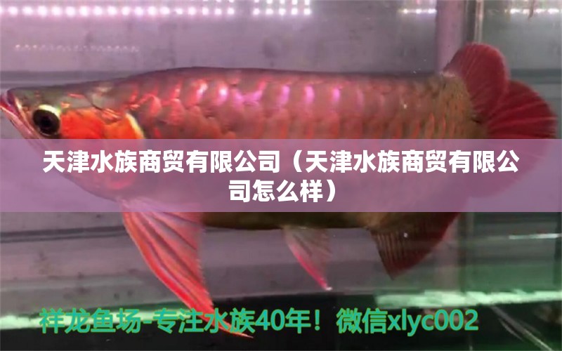 天津水族商貿(mào)有限公司（天津水族商貿(mào)有限公司怎么樣）