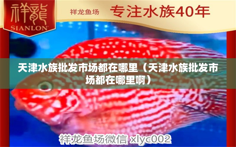 天津水族批發(fā)市場都在哪里（天津水族批發(fā)市場都在哪里?。?觀賞魚水族批發(fā)市場