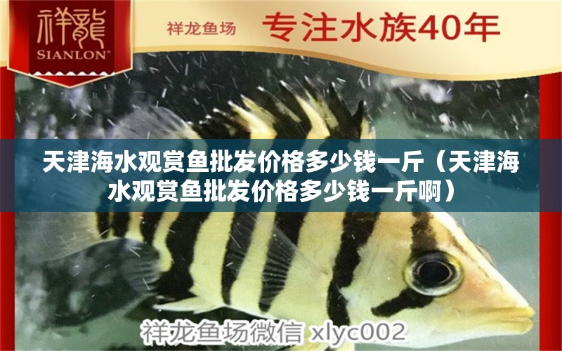 天津海水觀賞魚批發(fā)價格多少錢一斤（天津海水觀賞魚批發(fā)價格多少錢一斤?。? title=