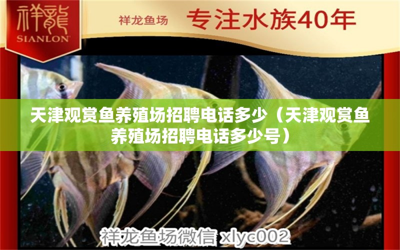 天津觀賞魚養(yǎng)殖場(chǎng)招聘電話多少（天津觀賞魚養(yǎng)殖場(chǎng)招聘電話多少號(hào)） 觀賞魚市場(chǎng)（混養(yǎng)魚）