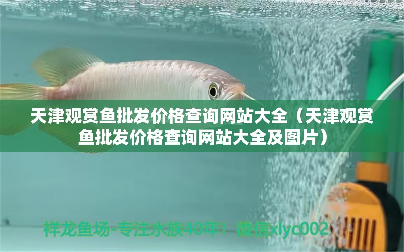 天津觀賞魚批發(fā)價(jià)格查詢網(wǎng)站大全（天津觀賞魚批發(fā)價(jià)格查詢網(wǎng)站大全及圖片）