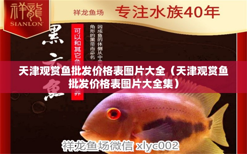 天津觀賞魚(yú)批發(fā)價(jià)格表圖片大全（天津觀賞魚(yú)批發(fā)價(jià)格表圖片大全集）