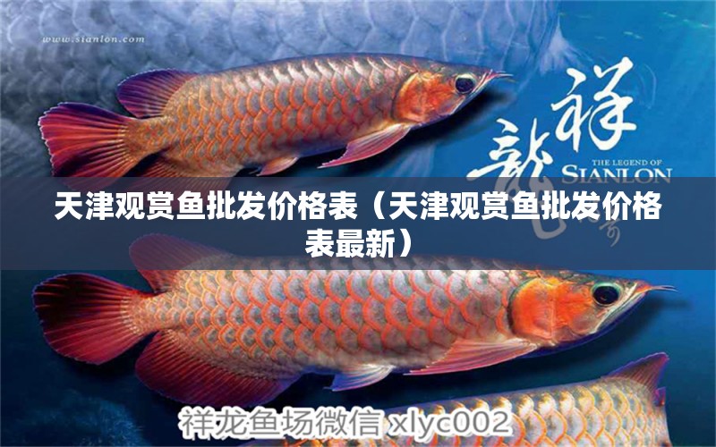 天津觀賞魚(yú)批發(fā)價(jià)格表（天津觀賞魚(yú)批發(fā)價(jià)格表最新）