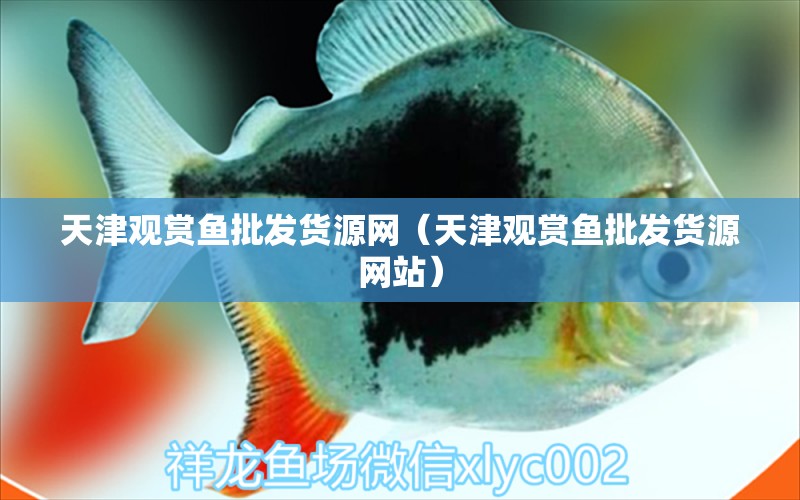 天津觀賞魚(yú)批發(fā)貨源網(wǎng)（天津觀賞魚(yú)批發(fā)貨源網(wǎng)站） 觀賞魚(yú)批發(fā)