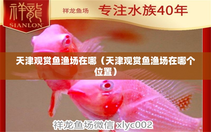 天津觀賞魚(yú)漁場(chǎng)在哪（天津觀賞魚(yú)漁場(chǎng)在哪個(gè)位置）