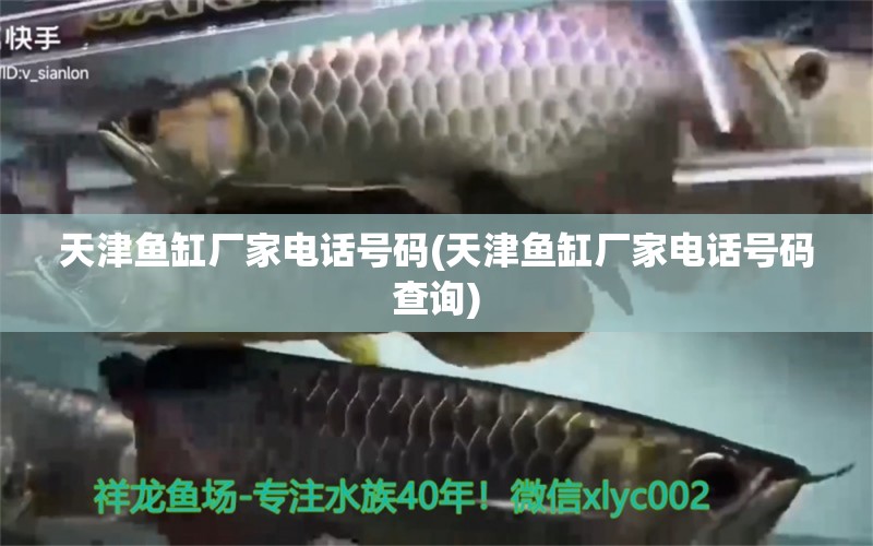 天津魚缸廠家電話號碼(天津魚缸廠家電話號碼查詢) 祥龍魚藥系列