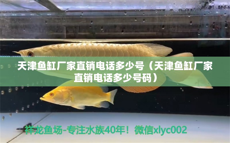 天津魚缸廠家直銷電話多少號（天津魚缸廠家直銷電話多少號碼） 量子養(yǎng)魚技術(shù)