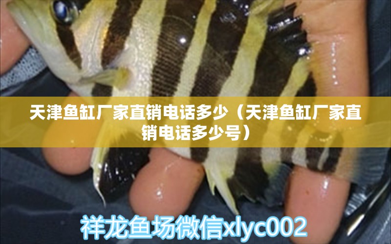 天津魚(yú)缸廠家直銷(xiāo)電話(huà)多少（天津魚(yú)缸廠家直銷(xiāo)電話(huà)多少號(hào)） 其他品牌魚(yú)缸