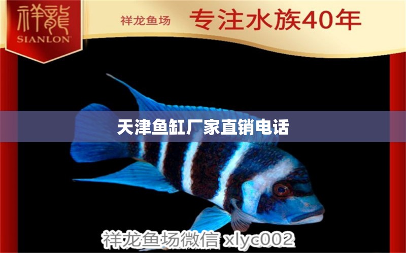 天津魚缸廠家直銷電話 其他品牌魚缸