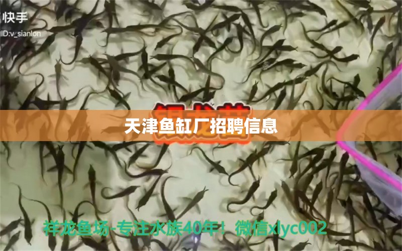 天津魚缸廠招聘信息