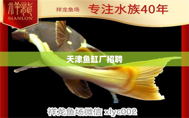 天津魚(yú)缸廠招聘