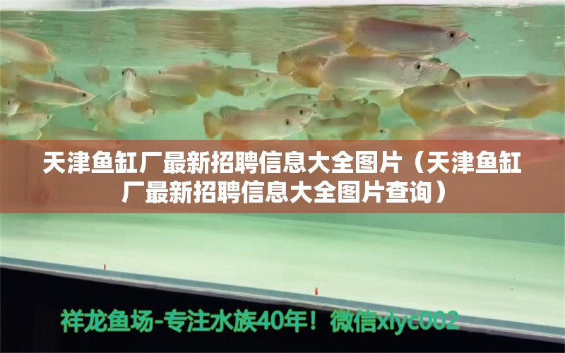 天津魚(yú)缸廠最新招聘信息大全圖片（天津魚(yú)缸廠最新招聘信息大全圖片查詢）