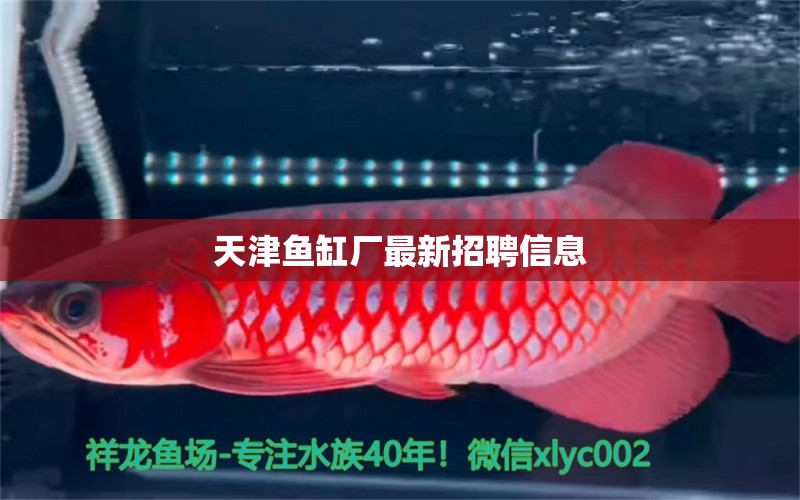 天津魚(yú)缸廠最新招聘信息