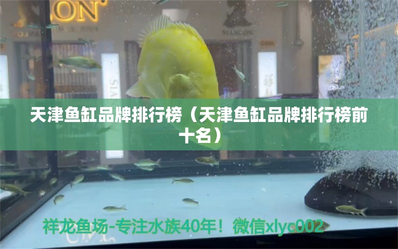 天津魚(yú)缸品牌排行榜（天津魚(yú)缸品牌排行榜前十名）