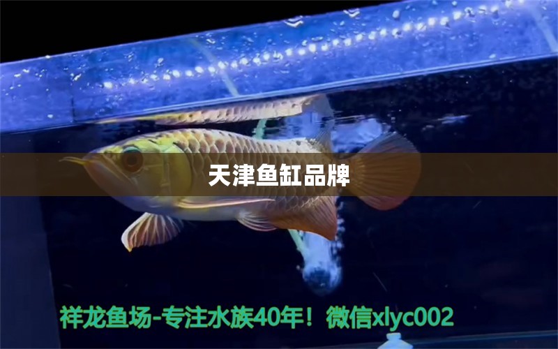 天津魚(yú)缸品牌