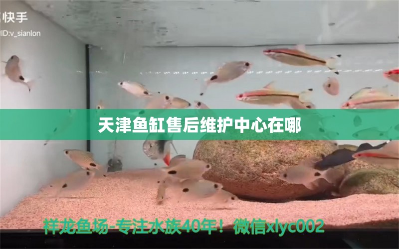 天津魚缸售后維護中心在哪 其他品牌魚缸