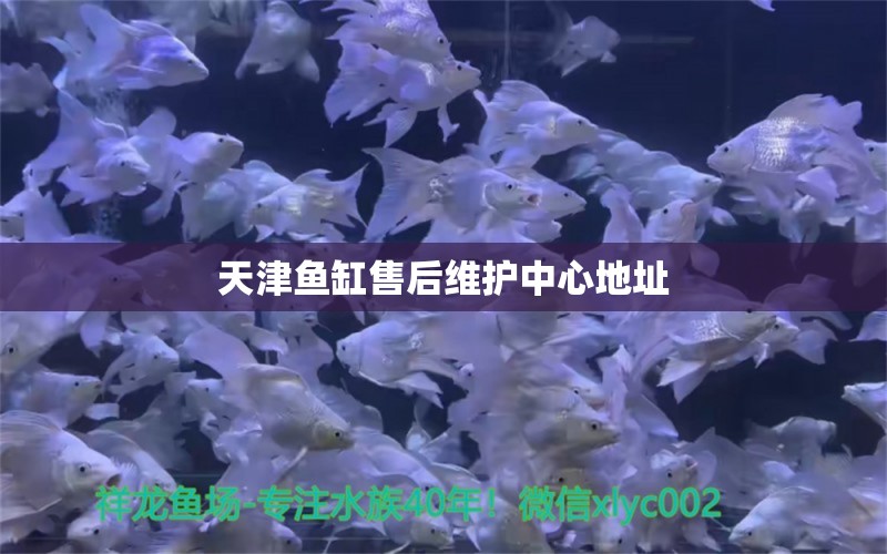 天津魚缸售后維護(hù)中心地址 其他品牌魚缸