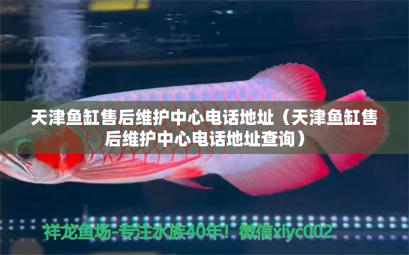 天津魚缸售后維護中心電話地址（天津魚缸售后維護中心電話地址查詢）