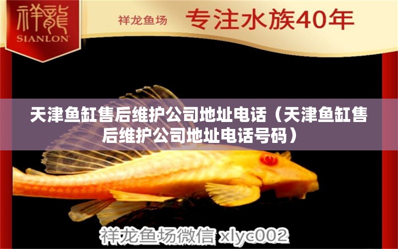 天津魚缸售后維護(hù)公司地址電話（天津魚缸售后維護(hù)公司地址電話號(hào)碼）