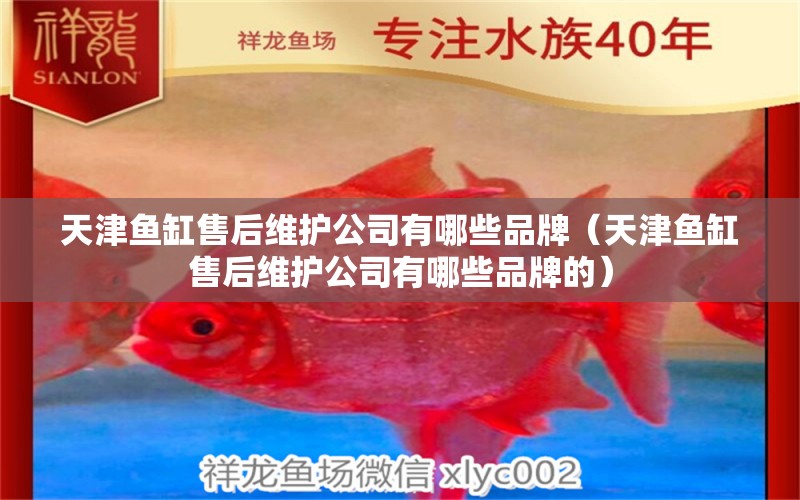 天津魚缸售后維護(hù)公司有哪些品牌（天津魚缸售后維護(hù)公司有哪些品牌的）