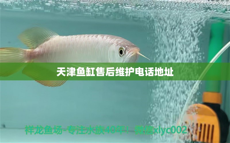 天津魚缸售后維護電話地址