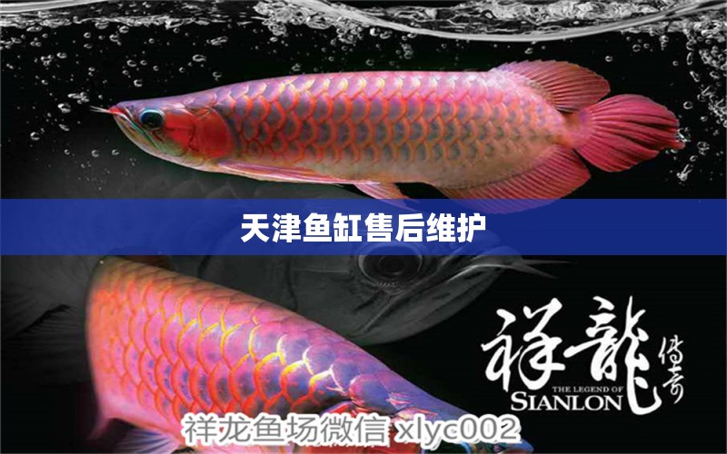 天津魚缸售后維護