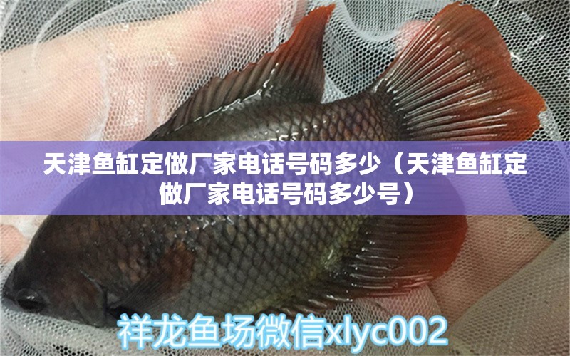 天津魚缸定做廠家電話號碼多少（天津魚缸定做廠家電話號碼多少號） 其他品牌魚缸