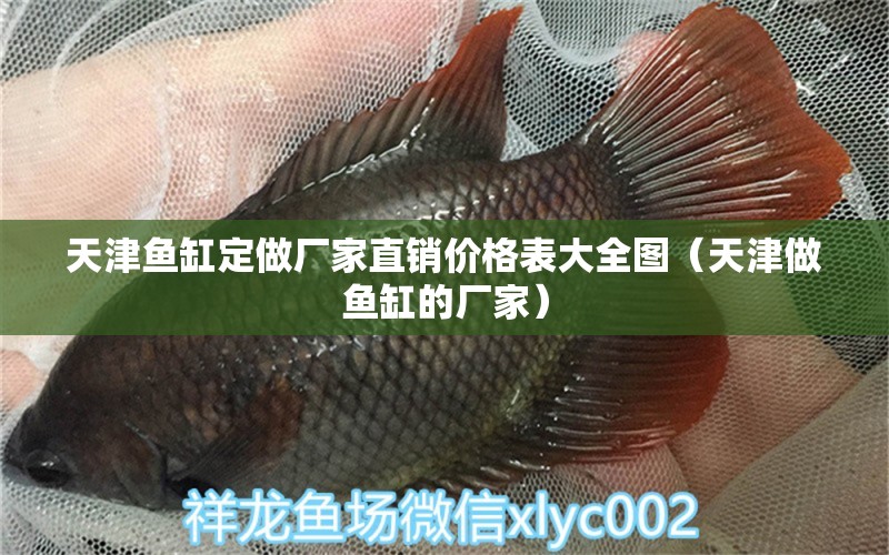 天津魚缸定做廠家直銷價格表大全圖（天津做魚缸的廠家）