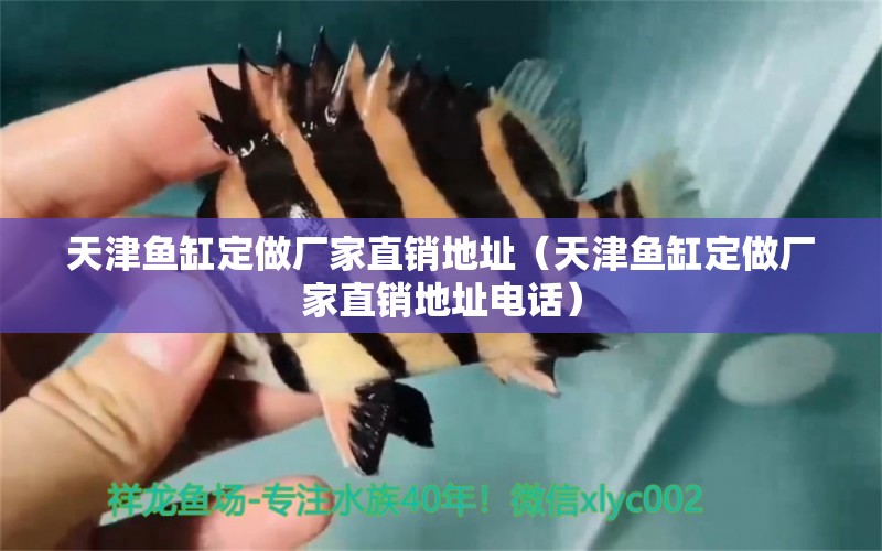 天津魚缸定做廠家直銷地址（天津魚缸定做廠家直銷地址電話）