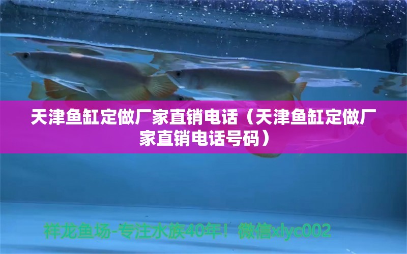 天津魚缸定做廠家直銷電話（天津魚缸定做廠家直銷電話號碼）