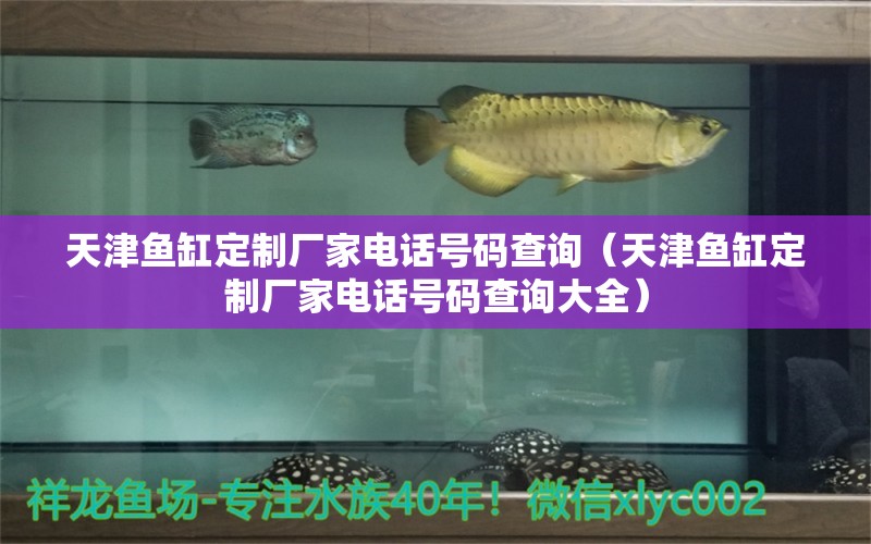 天津魚缸定制廠家電話號碼查詢（天津魚缸定制廠家電話號碼查詢大全） 其它水族用具設(shè)備